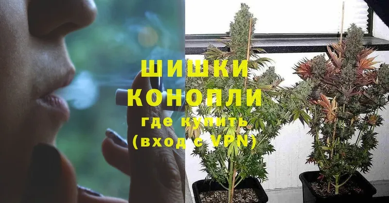 Конопля индика  Новое Девяткино 